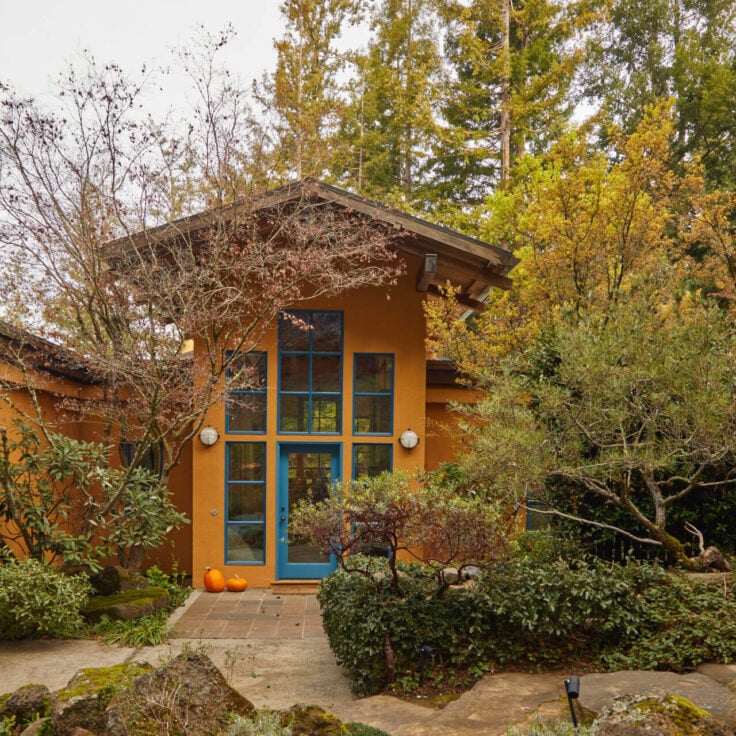 Charcoal Surface Talons