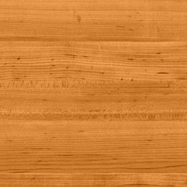 Hard Maple - Golden Hour