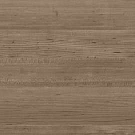 Hard Maple - Oakmoss