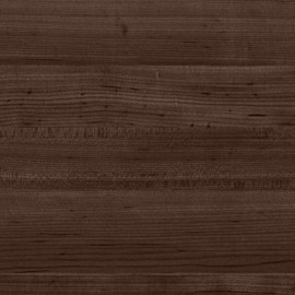 Hard Maple - Shade Tree