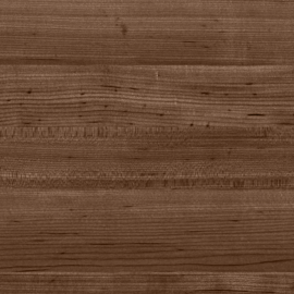 Hard Maple - Trailhead