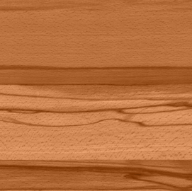 Hickory - Golden Hour